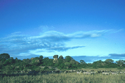 East African National Parks & Game Reserves