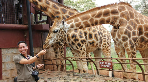 Giraffe Center Tour (3 hrs) - Departs daily at 14:00hrs