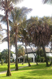 Mombasa Serena Beach Resort & Spa, Kenya