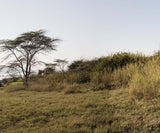 Lake Elmenteita Serena Camp, Kenya