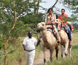 Sweetwaters Serena Camp, Kenya