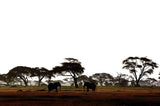 Amboseli Serena Safari Lodge, Kenya
