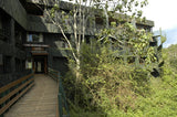 Serena Mountain Lodge, Kenya