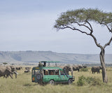 Mara Serena Safari Lodge, Kenya