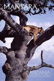 Lake Manyara National Park