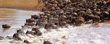 Maasai Mara Game Reserve