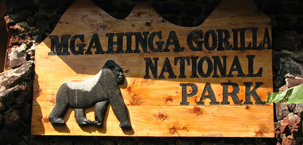 Mgahinga Gorilla Park