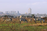 Nairobi National Park