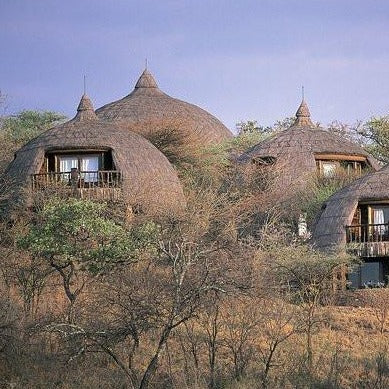 STT0025: Arusha | Lake Manyara | Ngorongoro | Olduvai | Serengeti - 7 Days