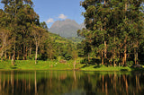 Ruwenzori Mountains