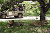 Selous Game Reserve