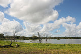 Selous Game Reserve