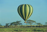 Ngorongoro Serena Safari Lodge, Tanzania