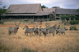 Kilaguni Serena Lodge, Kenya
