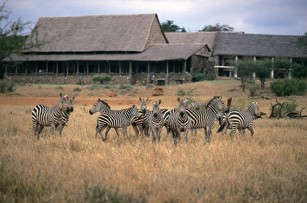 STT009: Amboseli | Tsavo | Mombasa - 3 days