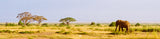 Amboseli National Park