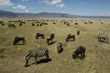 Ngorongoro Serena Safari Lodge, Tanzania