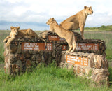 STT 001B: Nairobi National Park | Bomas of Kenya | Giraffe Center - 2 Days