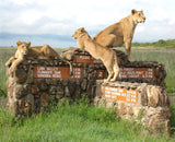 Nairobi National Park