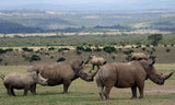 Aberdare National Park