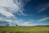 STT0025: Arusha | Lake Manyara | Ngorongoro | Olduvai | Serengeti - 7 Days