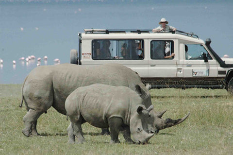 STT015: Maasai Mara | Rift Valley | Tree Hotel | Ambseli | Tsavo | Mombasa - 7 days
